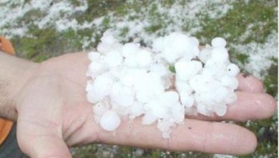 Γούβες: Ανακοίνωση πορισμάτων εκτίμησης του ΕΛΓΑ για ζημιές από χαλάζι