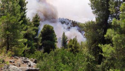 Υπό έλεγχο η πυρκαγιά κοντά στο Παρθένι