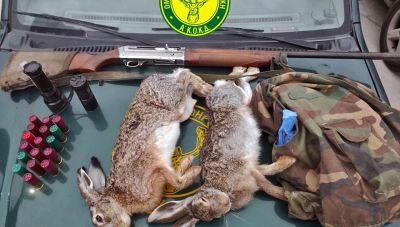 Σύλληψη για παράνομο κυνήγι λαγού στο Μέρωνα του Δήμου Αμαρίου