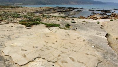 Στο Nature Scientific Reports οι αρχαιότερες πατημασίες στον κόσμο από το Καστέλι Κισάμου