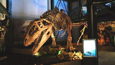 Μια σπουδαία σύμπραξη του Πανεπιστημίου Κρήτης-Μουσείο Φυσικής Ιστορίας και του ΕΛΚΕΘΕ