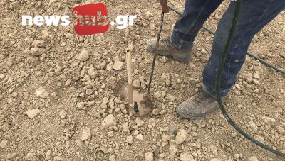 Πρωταθλήτρια στις νέες φυτεύσεις αμπελιών η Θεσσαλία-Στην τελευταία θέση η Κρήτη