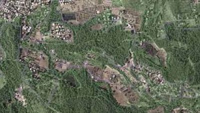 Πράσινο φως για τους Δασικούς Χάρτες από το ΣτΕ