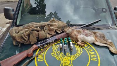 Σύλληψη για παράνομο κυνήγι λαγού στα Κοτσιφιανά του δήμου Πλατανιά