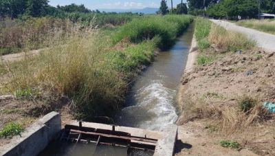Ηλεία: Νεκρός σε κανάλι ηλικιωμένος άνδρας με πληγές από τρωκτικά