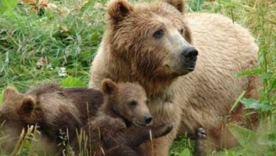 Με μάσκες και τεστ επαναλειτουργούν τα ΚΔΑΠ