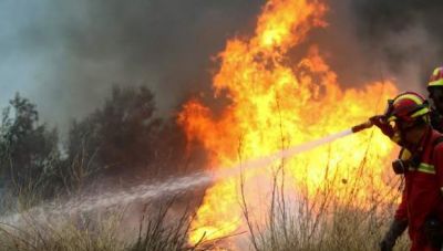 Πάνω από 400 δασικές φωτιές σε 1 εβδομάδα στην Ελλάδα- Οι οδηγίες της Πυροσβεστικής
