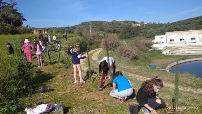 Μαθητές φύτευσαν δέντρα γύρω από το βιολογικό στο Γεράνι
