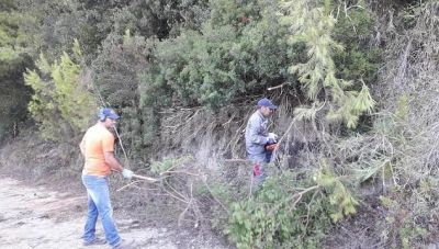 Ποιος δήμος της Κρήτης προσλαμβάνει εποχικούς εργαζόμενους