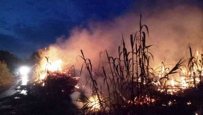 Μεσαρά: Ευτυχώς μόνο καλαμιώνες παραδόθηκαν στις φλόγες στην Πόμπια