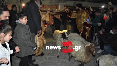 Η ευλόγηση του κοπαδιού των προβάτων τη Μεγάλη Παρασκευή στη Μονή Επανωσήφη (βίντεο)