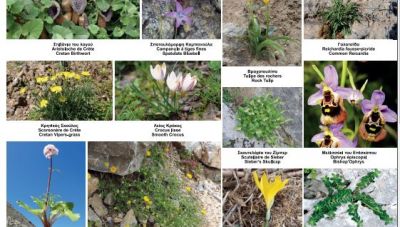 Το πρώτο βοτανικό μονοπάτι της Κρήτης δημιουργήθηκε στο Μέσωνα Καβουσίου-Τα εγκαίνια