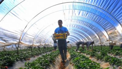 Κεγκέρογλου: Αποκλείονται από το πρόγραμμα νέοι Αγρότες στους οποίους παραχωρείται γη με θερμοκηπιακές κατασκευές