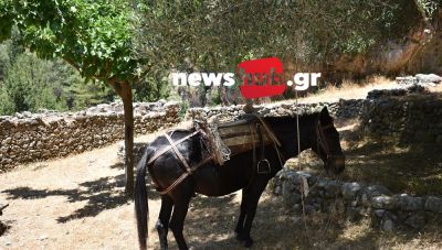 Θέμα Newshub.gr: Η Κρήτη χρειάζεται έναν οργανωμένο φορέα διάσωσης για δύσκολα-επείγοντα περιστατικά