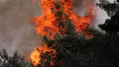 Συνελήφθη ο δράστης της μεγάλης φωτιάς στο δήμο Βιάννου
