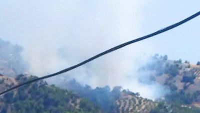 Βιάννος: 100 στρέμματα γης έγιναν στάχτη