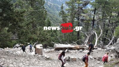 Εθνικός Δρυμός Σαμαριάς: Εκτεθειμένος στο ενδεχόμενο πυρκαγιάς - Γιατί δεν είναι επαρκώς προστατευμένος;