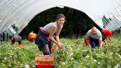 Διαδικασία μετάκλησης ΠΤΧ Εγγεγραμμένων στο Ψηφιακό Μητρώο της Δ.ΥΠ.Α.