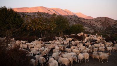 Στρατηγική συνεργασία της Περιφέρειας Κρήτης με το National Geographic