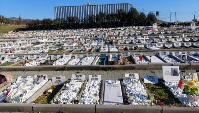 Αποτεφρωτήριο μικρών ζώων θα λειτουργήσει στη Θεσσαλονίκη