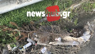 Φύτεψαν δεντράκια στη θέση αυτών που δεν πότισαν και ξεράθηκαν και τα ξερά τα πέταξαν στο δρόμο