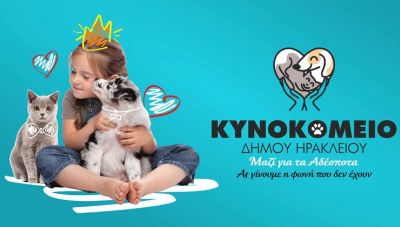 Δήμος Ηρακλείου: Δράσεις ενημέρωσης και προώθησης υιοθεσιών για τα αδέσποτα ζώα