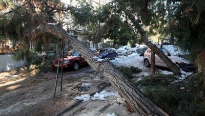 O Δήμος Αθηναίων θα αποζημιώσει τους ιδιοκτήτες οχημάτων που υπέστησαν ζημιές από πτώσεις δέντρων