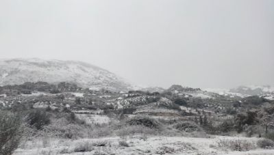 Δήμος Αμαρίου: Πότε λήγει η προθεσμία των αιτήσεων για τις αποζημιώσεις των κτηνοτρόφων