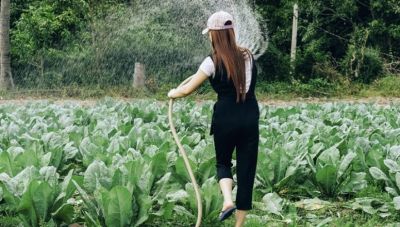 Έκδοση Αποτελεσμάτων για την «Εγκατάσταση Νέων Γεωργών»