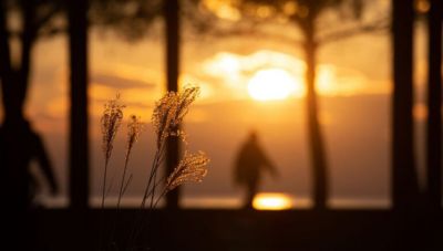 Μετά τους ανέμους καύσωνας: Αρχίζουν τα 40άρια στην Ελλάδα