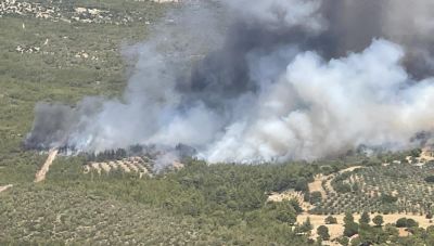Φωτιά στα Μέγαρα: Μήνυμα του 112 για εκκένωση της περιοχής Ζάχουλη