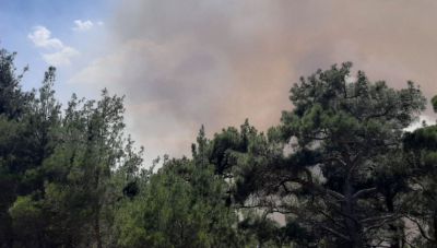 Μάχες με τις φλόγες σε Ηλεία και Έβρο- 44 πυρκαγιές μέσα σε 24 ώρες