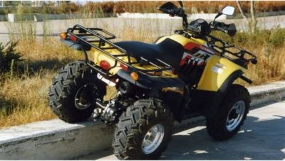 Χερσόνησος: Σοβαρός τραυματισμός τουρίστα με γουρούνα