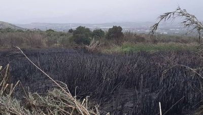 Συνεχείς οι αναζωπυρώσεις στη φωτιά στην Πόμπια - Υπό μερικό έλεγχο λέει ο δήμαρχος Φαιστού