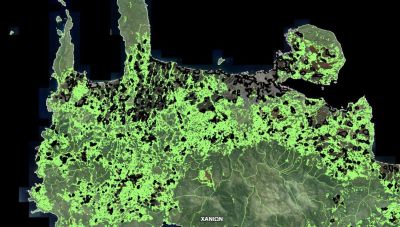 O Αντιπεριφερειάρχης Χανίων εισηγείται νέα τρίμηνη παράταση για αντιρρήσεις στους δασικούς χάρτες