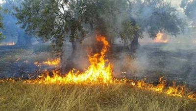 Υπό μερικό έλεγχο το πύρινο μέτωπο στη Μεσαρά- Τι δυσκόλεψε τους πυροσβέστες