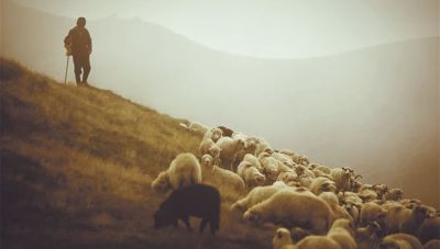 Εξισωτική αποζημίωση: Καταβολή ενισχύσεων 8,5 εκατ. ευρώ-Ενστάσεις από 12 του μηνός