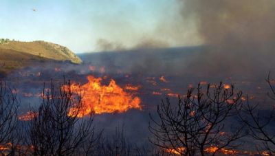 Πάνω από 1.800 δασικές πυρκαγιές από την έναρξη της αντιπυρικής περιόδου