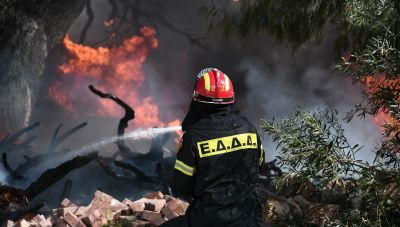 Φωτιά στα Μέγαρα – Στο σημείο πυροσβεστικές δυνάμεις