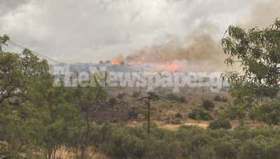Βόλος: Φωτιά στις Αλυκές