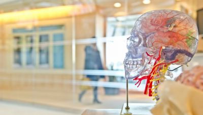 Το τεχνολογικό brain drain της Ρωσίας λόγω του πολέμου