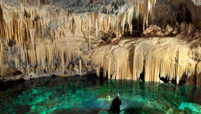 Το πρόγραμμα που διαχειρίζεται το Μουσείο Φυσικής Ιστορίας Κρήτης για την επιβίωση της σπηλαιόβιας ζωής