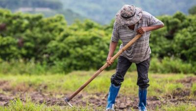 Αναζητούνται απαντήσεις και λύσεις για τους εργάτες γης