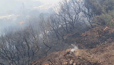 Ανησυχία για την πρόληψη κατά των πυρκαγιών - Τι αναφέρει έκθεση για τα κονδύλια από τους Δήμους