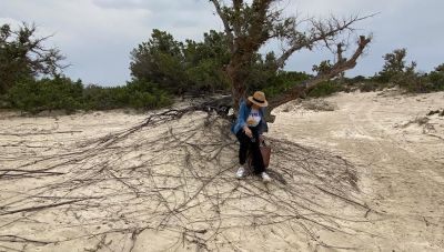 Κρήτη - Χρυσή: Ανεπανόρθωτη ζημιά στο φυσικό περιβάλλον ενός επίγειου παραδείσου (pics)