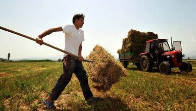 ΟΠΕΚΕΠΕ: Μέχρι πότε μπορούν οι αγρότες να κάνουν αίτηση επιχορήγησης - Ποιους αφορά