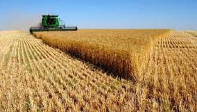 Πως η επισιτιστική κρίση βγάζει κερδισμένη τη Ρωσία