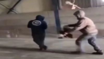 Νέα υπόθεση κακοποίησης ζώου -«Έσπαγαν πλάκα» βασανίζοντας πτηνό