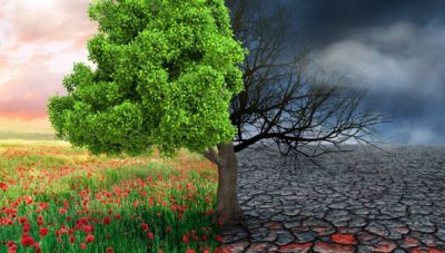 Ξεκινά η μεγαλύτερη παγκόσμια σκυταλοδρομία για την Κλιματική Αλλαγή