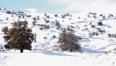 Κακοκαιρία Φίλιππος: Την επιδείνωση δεν την έχει δει ακόμα η Κρήτη-Πότε αναμένεται